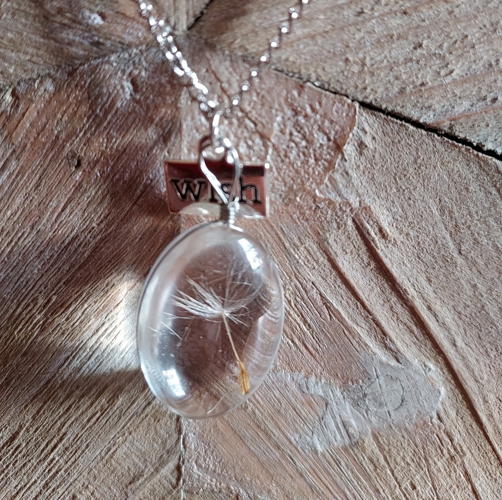 NWOT Wish Necklace